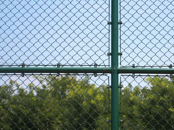 Plastic-Coated Chain Mesh Fence