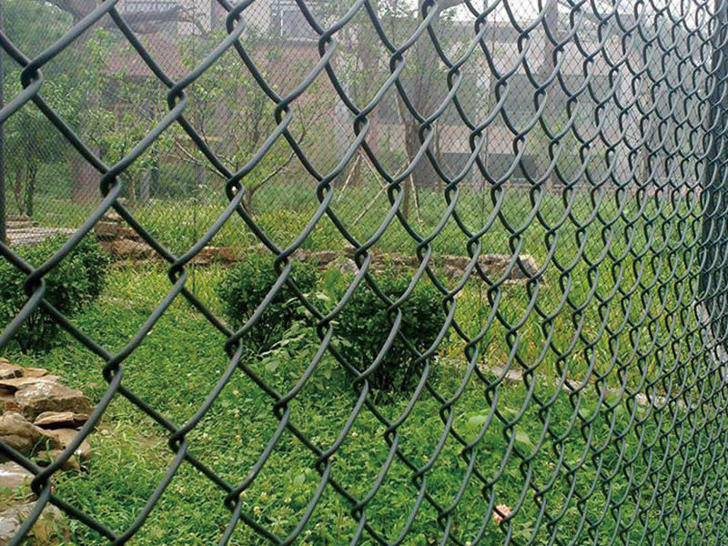 PVC Coated Chain Link Fence