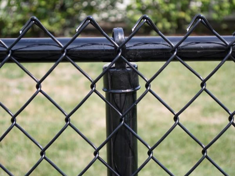 Vinyl Coated Chain Link Fence